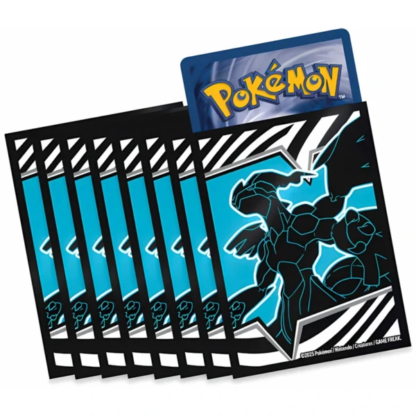 Schwarze Blitze Top-Trainer-Box Sleeves